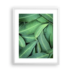 Poster in cornice bianca - Succosi e freschi - 40x50 cm