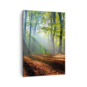 Quadro su tela - Stampe su Tela - Una radura della foresta illuminata dai raggi del sole - 50x70cm - Luci e ombre - Decorazione murale moderna per soggiorno e camera da letto ARTTOR