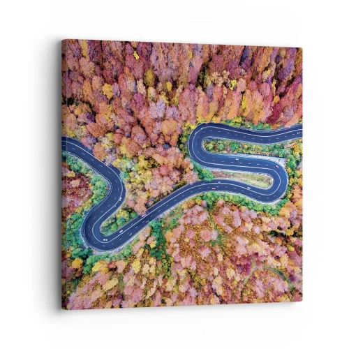 Quadro su tela - Stampe su Tela - Via tortuosa attraverso il bosco - 30x30 cm