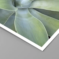 Senza cornice