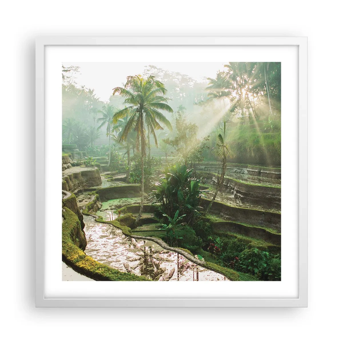 Poster in cornice bianca - Crescere al sole - 50x50 cm