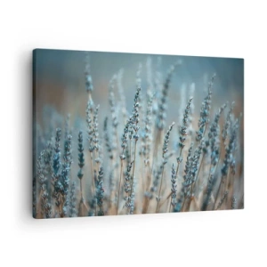 Quadro su tela - Stampe su Tela - Lavanda nel campo in delicati toni pastello - 70x50cm - Campo profumato - Decorazione murale moderna per soggiorno e camera da letto ARTTOR