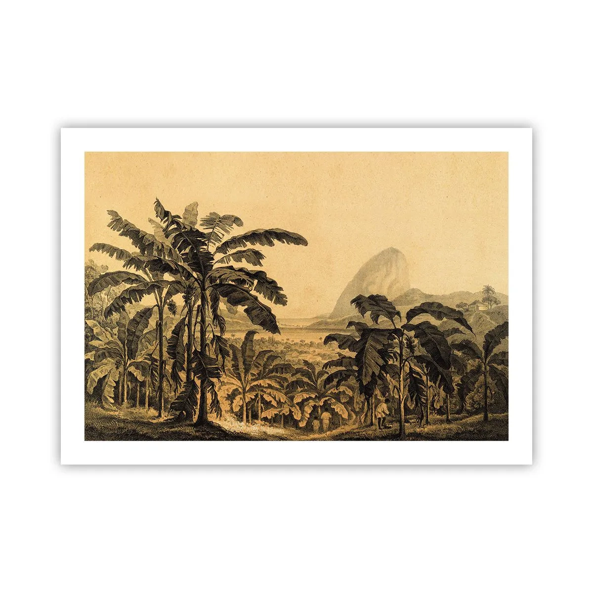 Poster - Nel clima coloniale - 70x50 cm