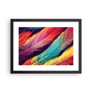 Poster in cornice nera - Arcobaleno piumato - 40x30 cm