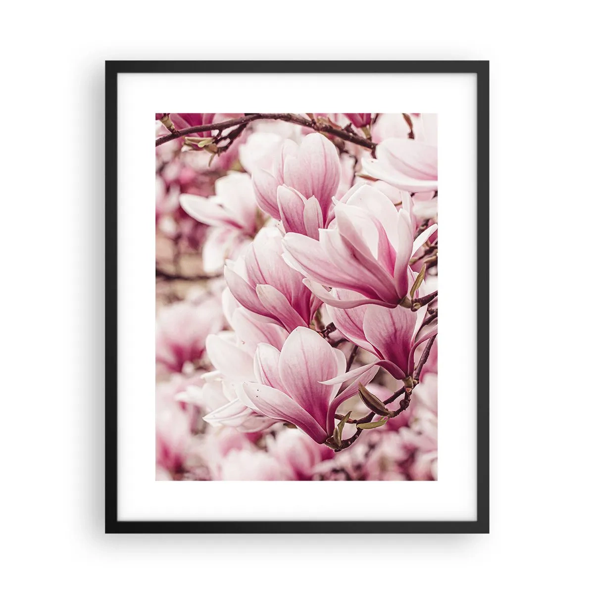 Poster in cornice nera - La primavera è rosa - 40x50 cm