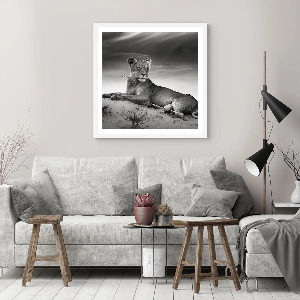 Poster in cornice bianca - Il riposo della regina del deserto - 50x50 cm