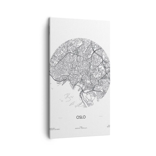 Quadro su tela - Stampe su Tela - Anatomia di Oslo - 45x80 cm