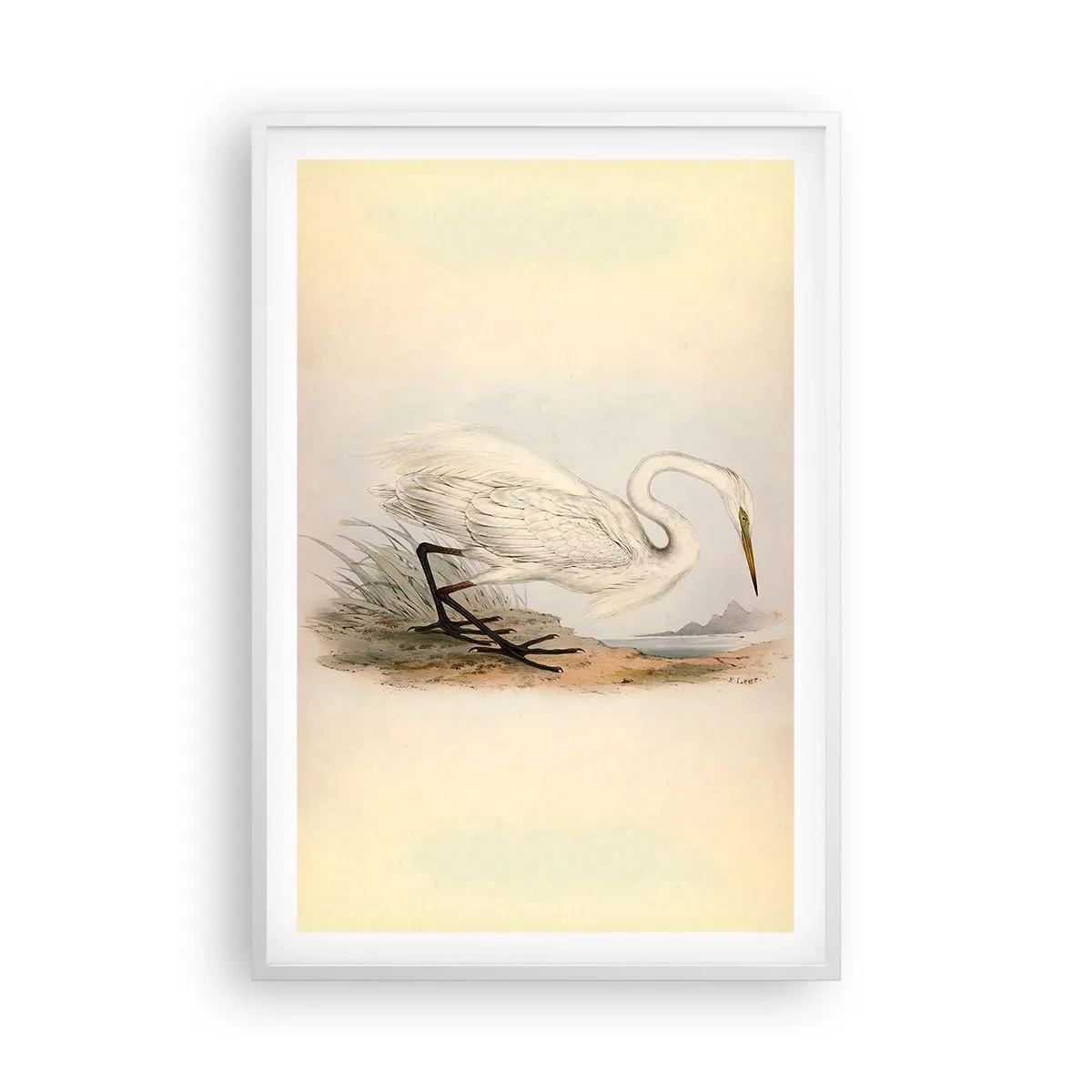 Poster in cornice bianca - La signora nel canneto - 61x91 cm