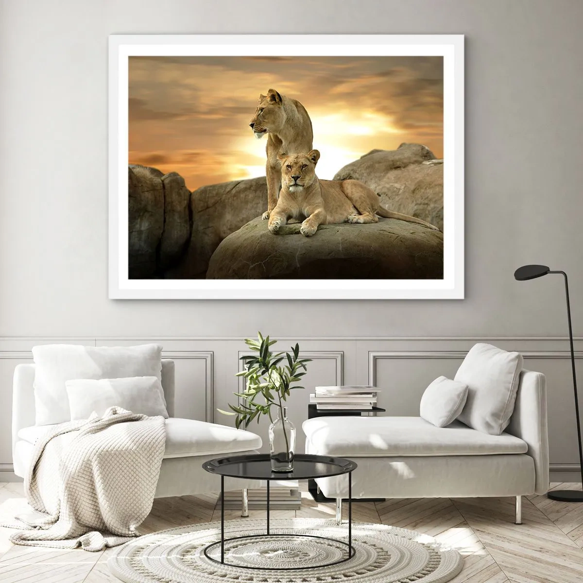 Poster in cornice bianca - Maestà reale - 50x40 cm