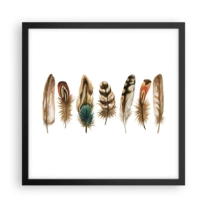 Poster in cornice nera - Composizione di piume - 40x40 cm