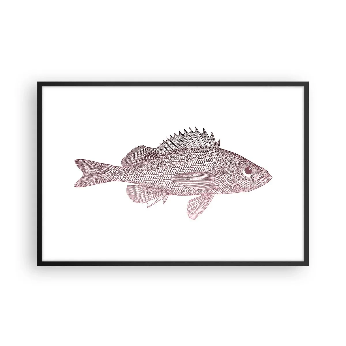 Poster in cornice nera - Il pesce dagli occhi enormi - 91x61 cm