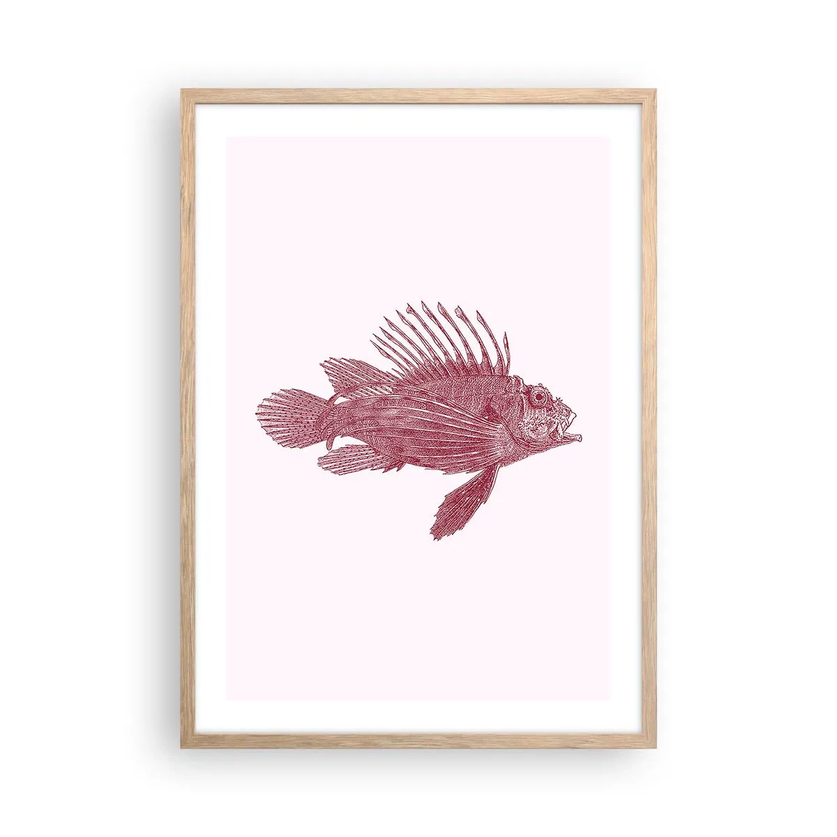 Poster in cornice rovere chiaro - Abitante di mari esotici - 50x70 cm