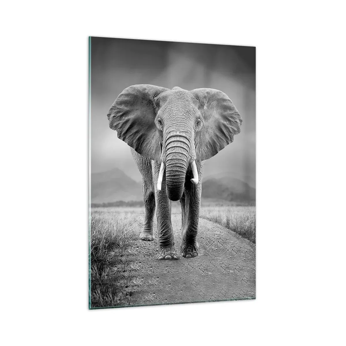 Quadro su vetro - Un possente elefante nella savana in toni monocromatici - 80x120cm - Il padrone di casa dà il benvenuto - Decorazione murale moderna per soggiorno e camera da letto ARTTOR