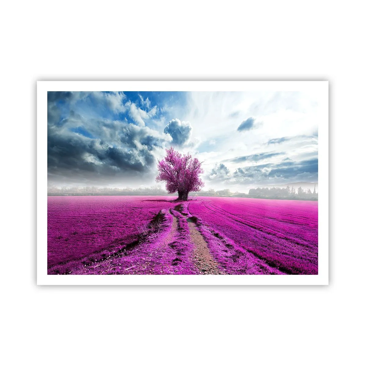 Poster - Un albero solitario in un campo in una tonalità di rosa intenso - 100x70cm - Brughiera selvatica - Decorazione murale moderna per soggiorno e camera da letto ARTTOR