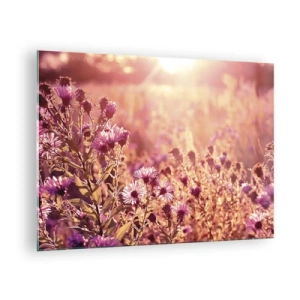 Quadro su vetro - Fiori viola nel prato alla luce del sole al tramonto - 70x50cm - Prima della fine dell'estate - Decorazione murale moderna per soggiorno e camera da letto ARTTOR