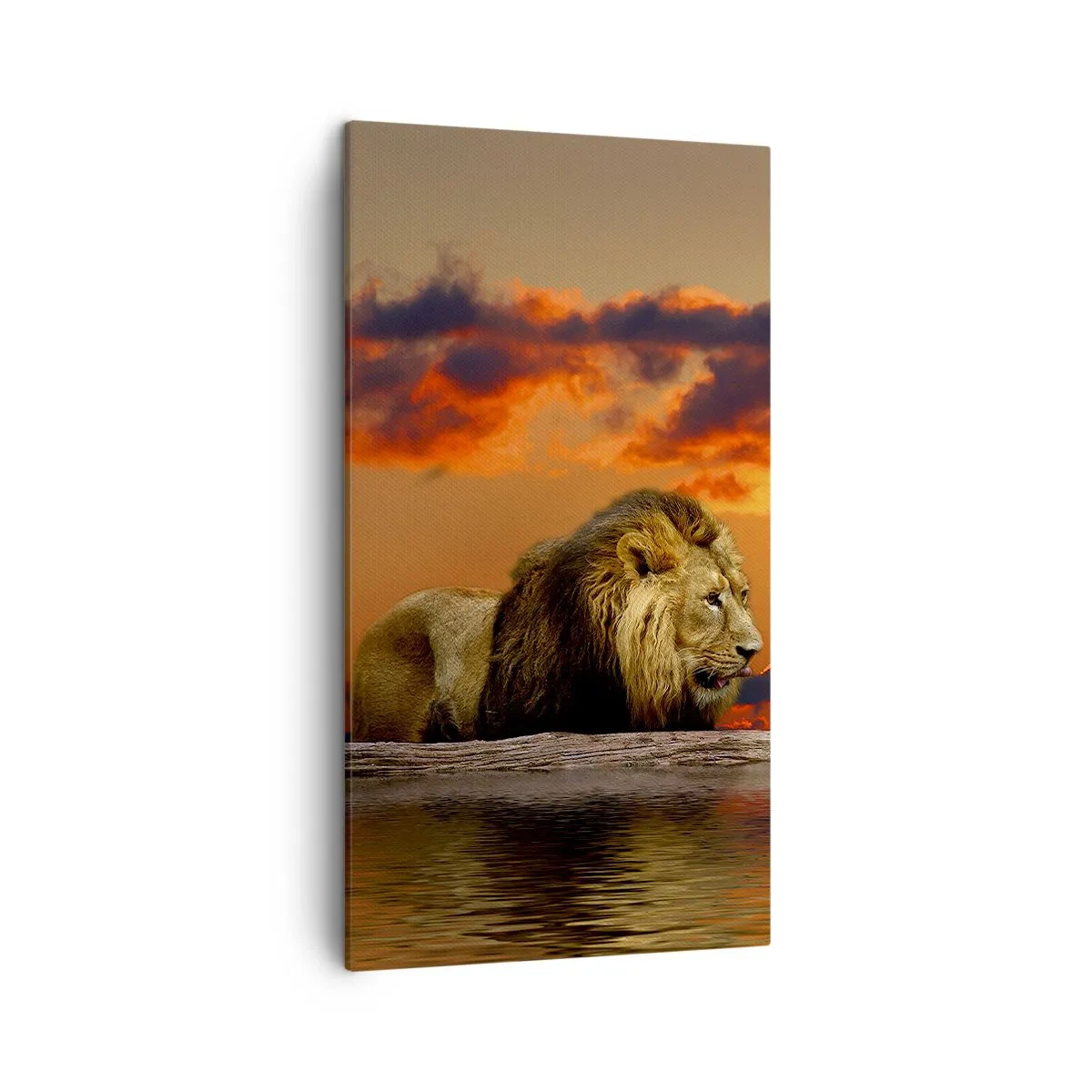 Quadro su tela - Stampe su Tela - Il re della natura - 45x80 cm
