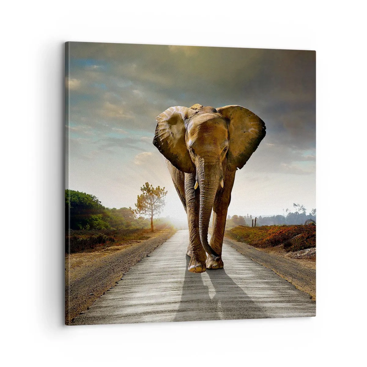 Quadro su tela - Stampe su Tela - E non nel negozio di cristalli - 60x60 cm