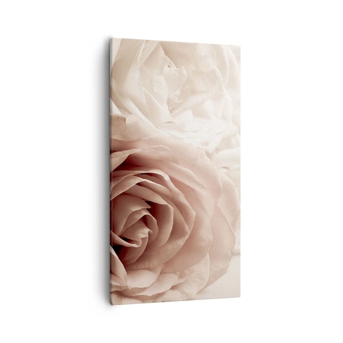 Quadro su tela - Stampe su Tela - Nel cuore della rosa - 55x100 cm