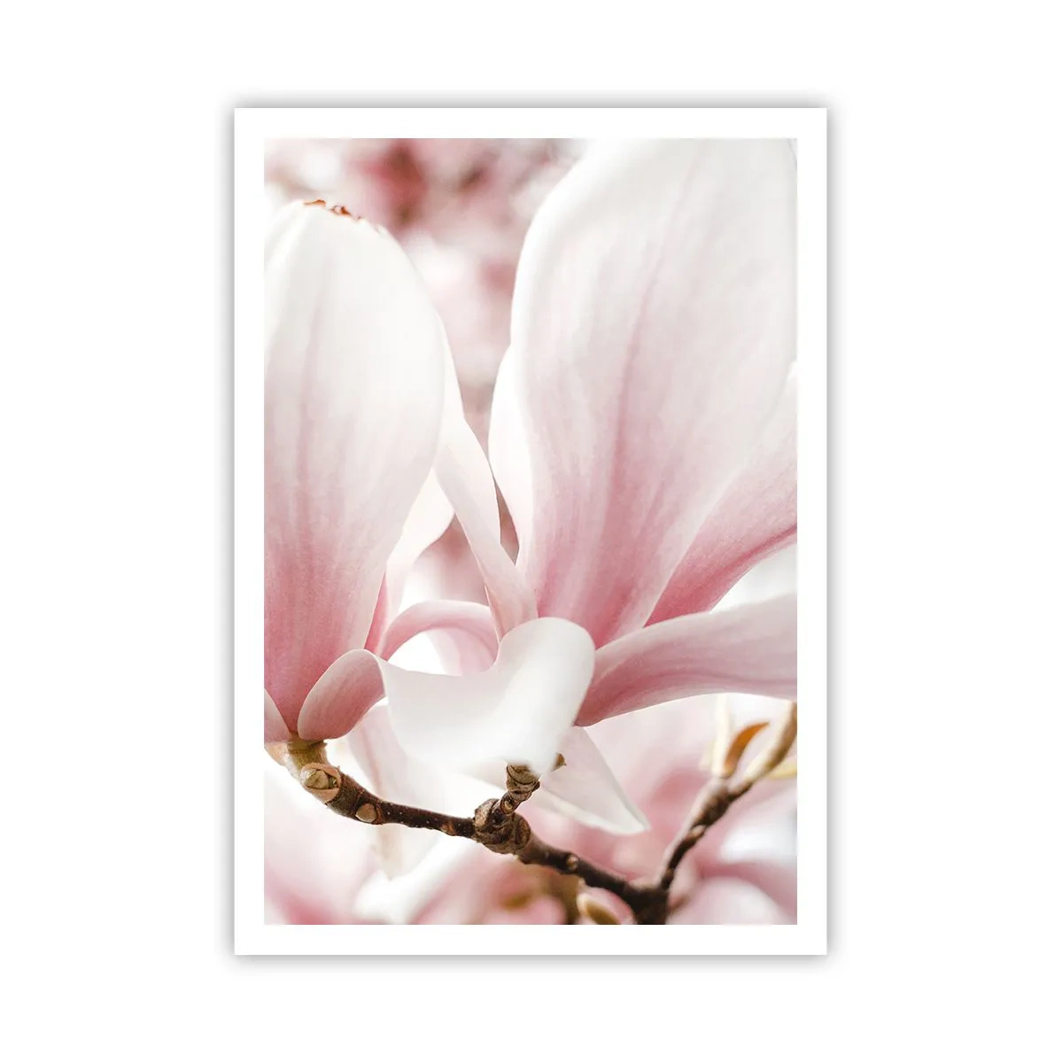 Poster - Tenerezza senza fine - 70x100 cm