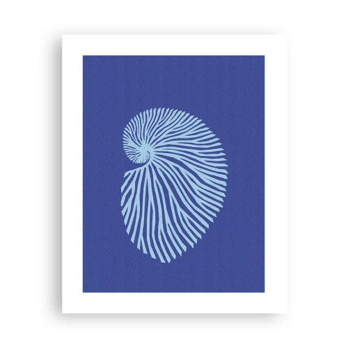 Poster - La nascita della conchiglia - 40x50 cm