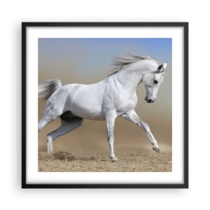 Poster in cornice nera - La più bella favola araba - 50x50 cm