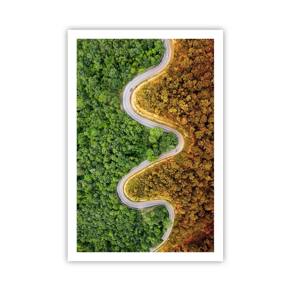 Poster - Confine e separazione - 61x91 cm
