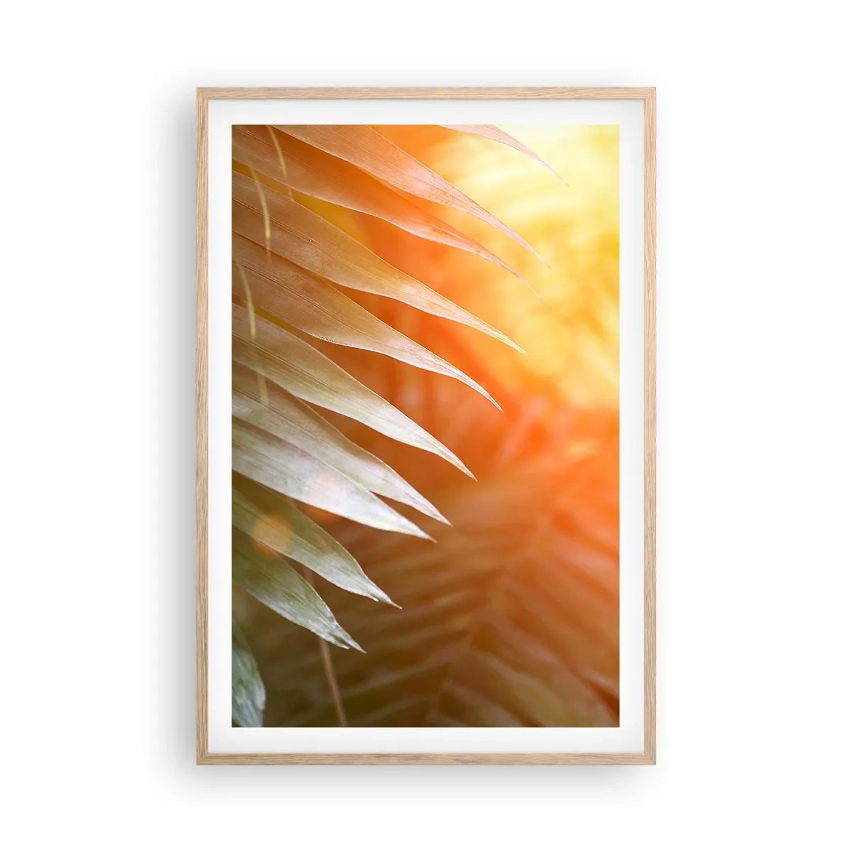 Poster in cornice rovere chiaro - L'alba nella giungla - 61x91 cm