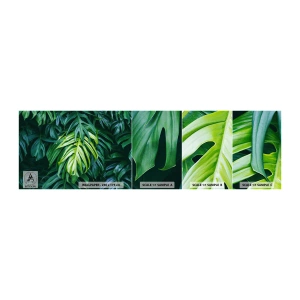 Campione di Fotomurale Adesivo Deluxe Sticker - Immergersi nella freschezza - Pianta tropicale, Foglia di Monstera, Natura - 100x30 cm