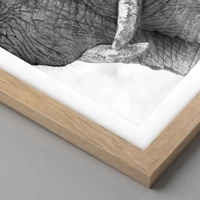 Rovere chiaro