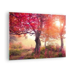 Quadro su vetro - Foresta autunnale con raggi di sole al mattino - 70x50cm - L'esplosione della fioritura - Decorazione murale moderna per soggiorno e camera da letto ARTTOR
