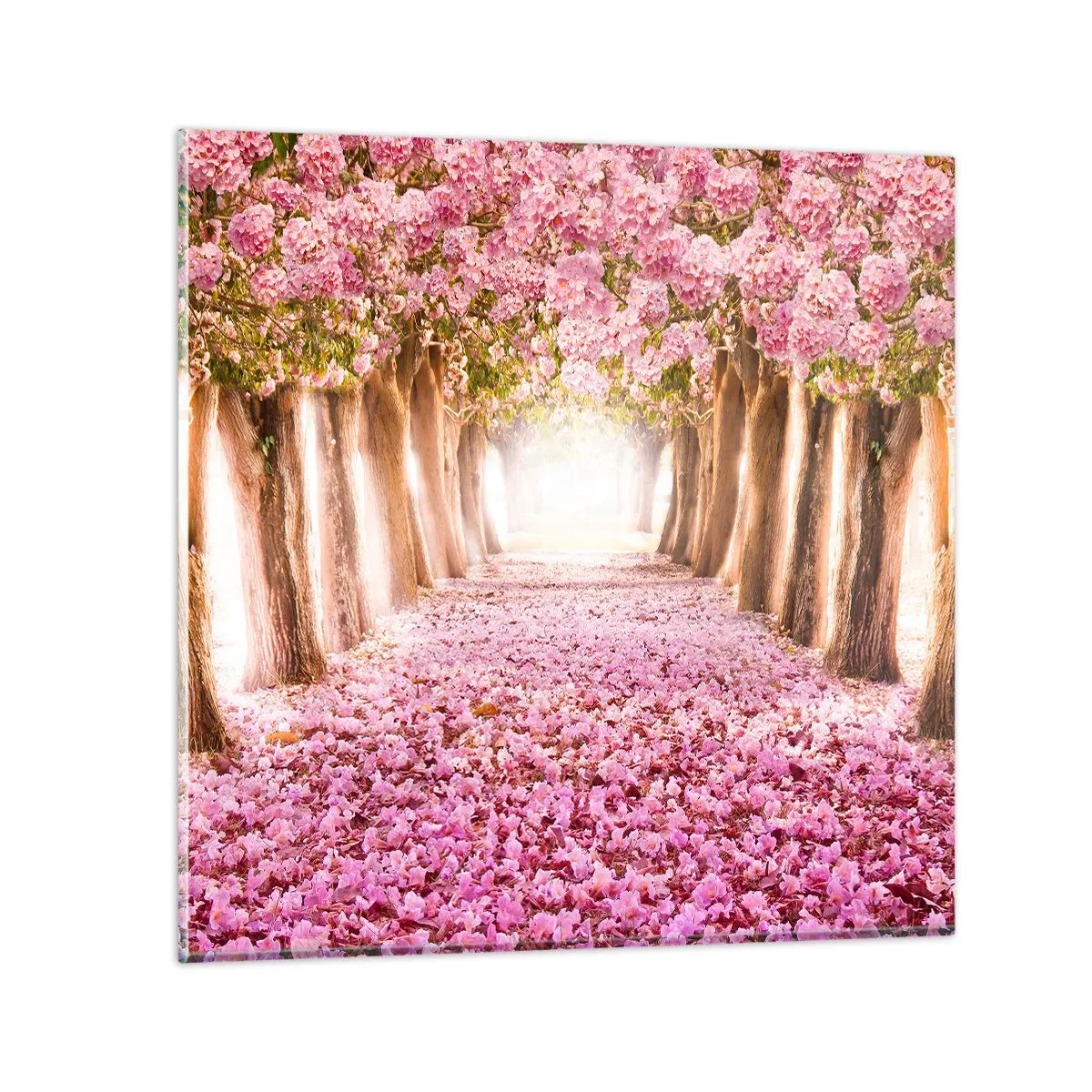 Quadro su vetro - La strada verso il paradiso - 50x50 cm
