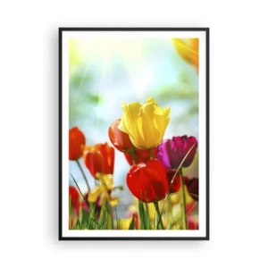 Poster in cornice nera - Tutti i colori del sole - 70x100 cm