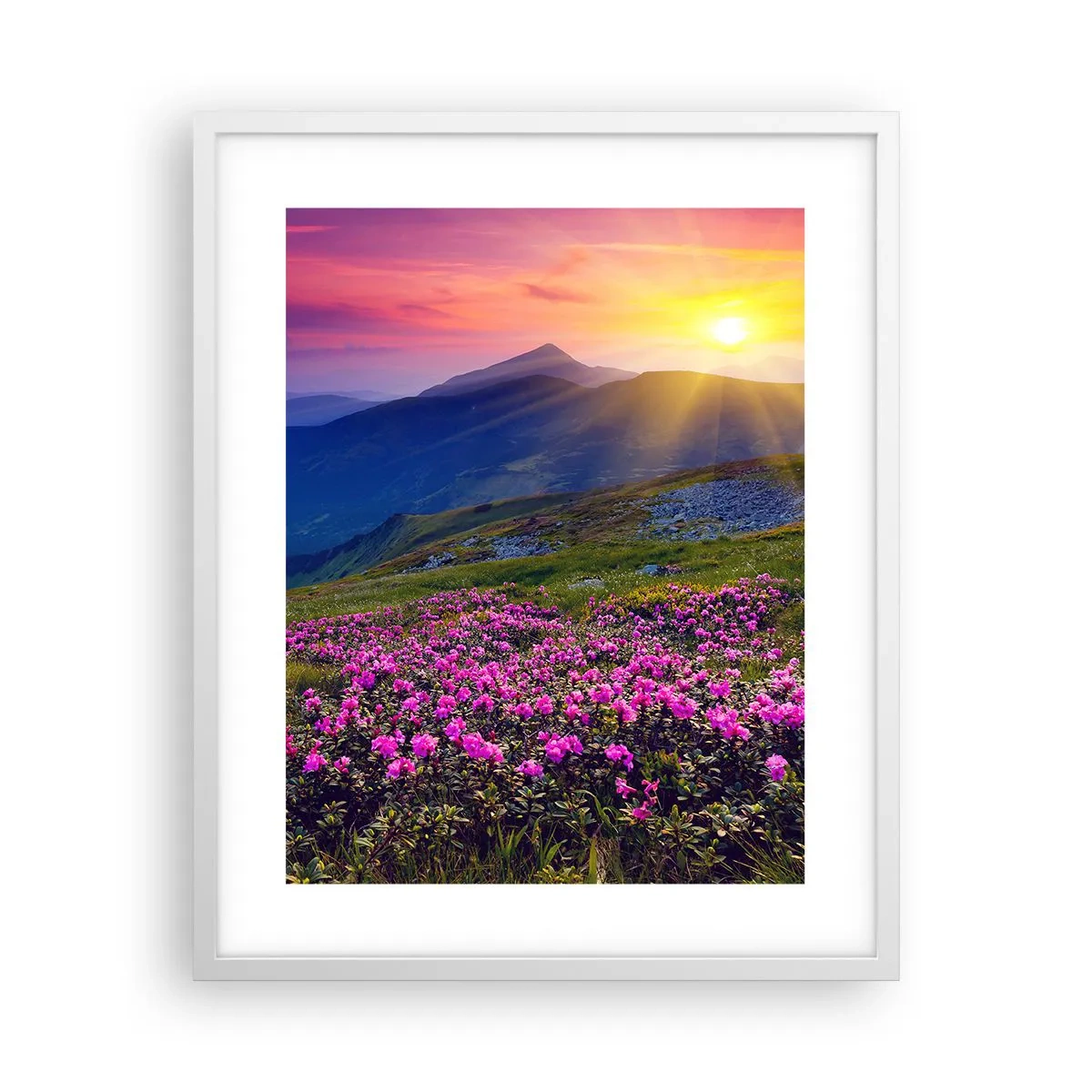 Poster in cornice bianca - Odore di mugo e profumo di erbe - 40x50 cm