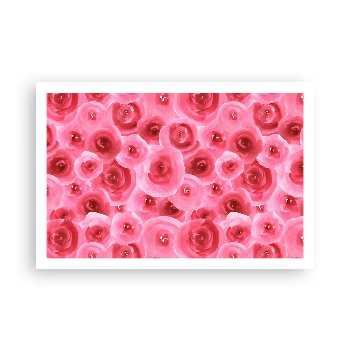 Poster - Rose in alto e in basso - 91x61 cm