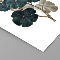 Senza cornice
