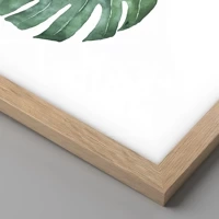 Rovere chiaro