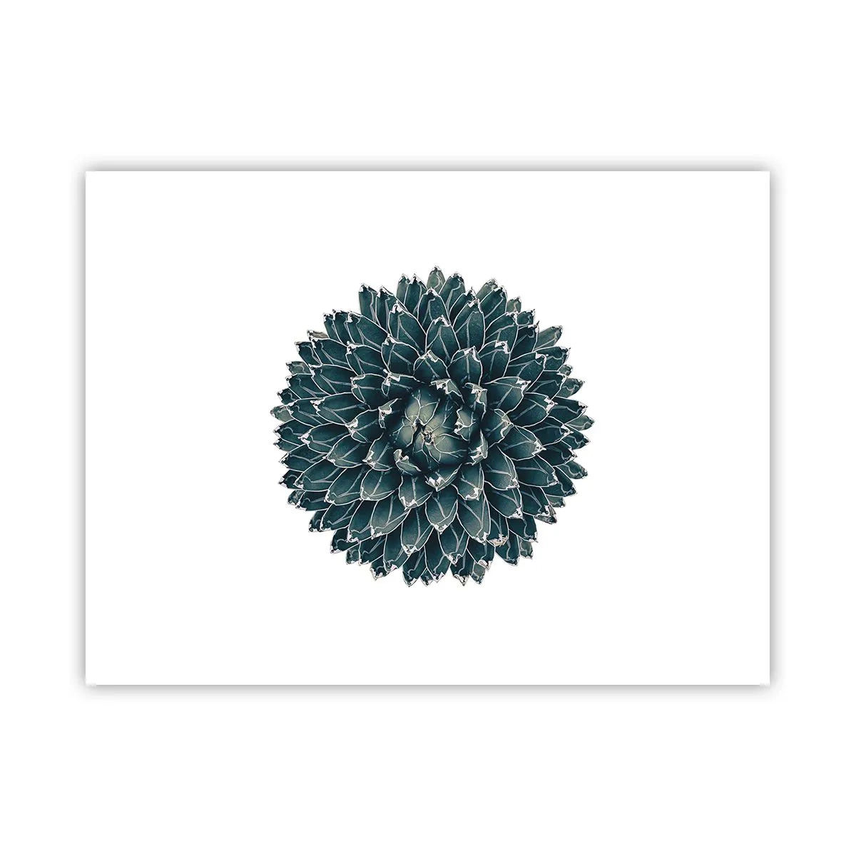 Poster - La stella del deserto - 40x30 cm
