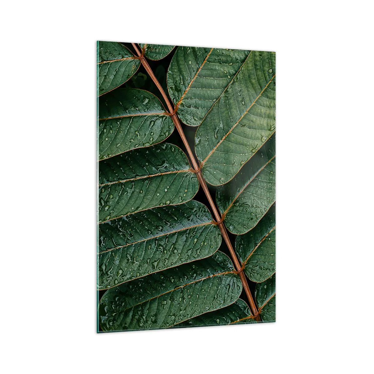 Quadro su vetro - Macro di foglie verdi con gocce di rugiada - 70x100cm - Al ritmo verde - Decorazione murale moderna per soggiorno e camera da letto ARTTOR