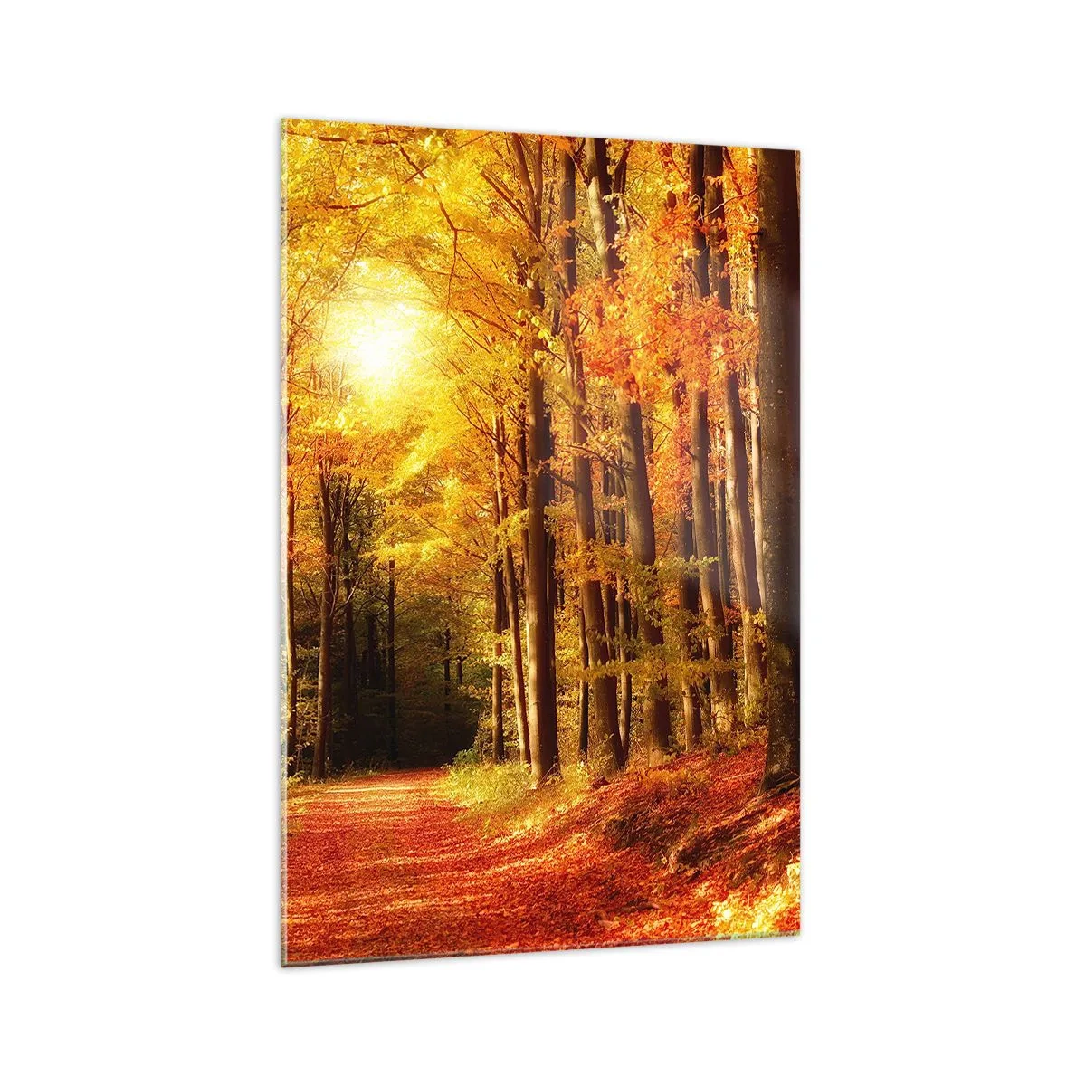 Quadro su vetro - Foresta autunnale con raggi di sole che brillano attraverso gli alberi - 70x100cm - Autunno dorato nella via nel bosco - Decorazione murale moderna per soggiorno e camera da letto ARTTOR
