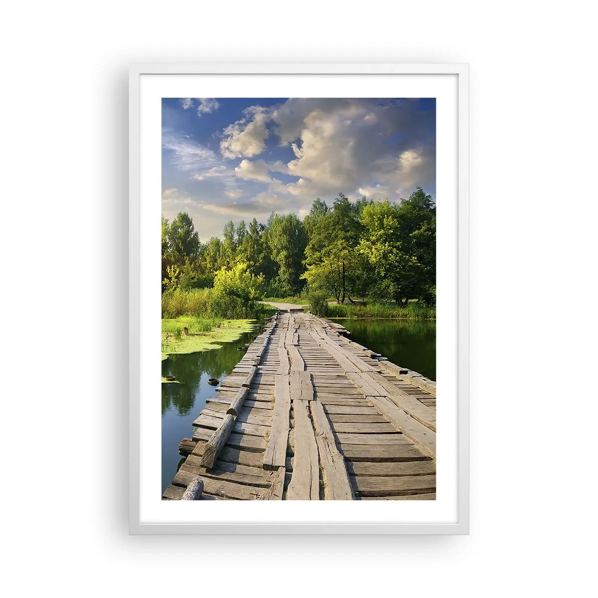 Poster in cornice bianca - Estate, estate ovunque - 50x70 cm