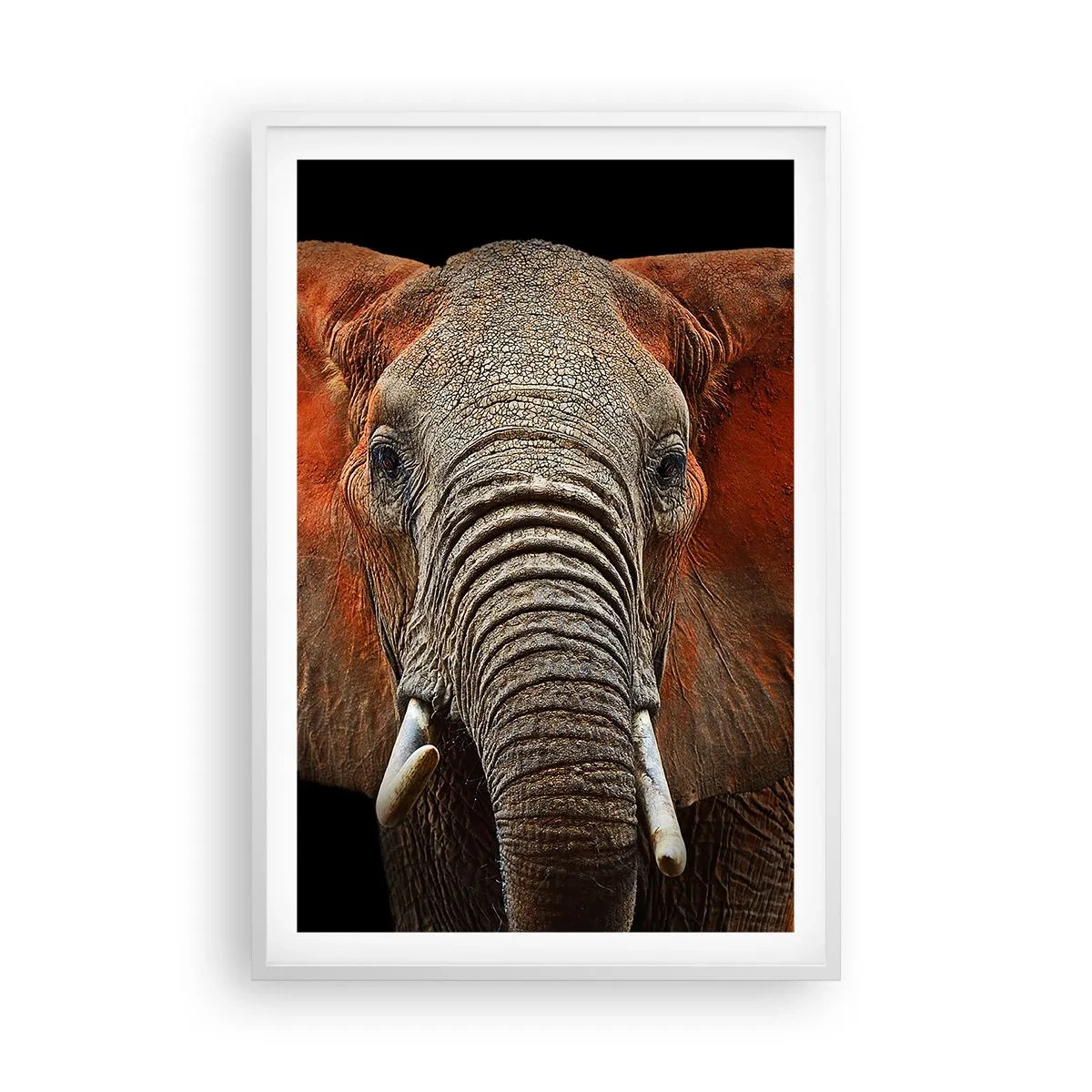 Poster in cornice bianca - Sono selvaggio e tu? - 61x91 cm