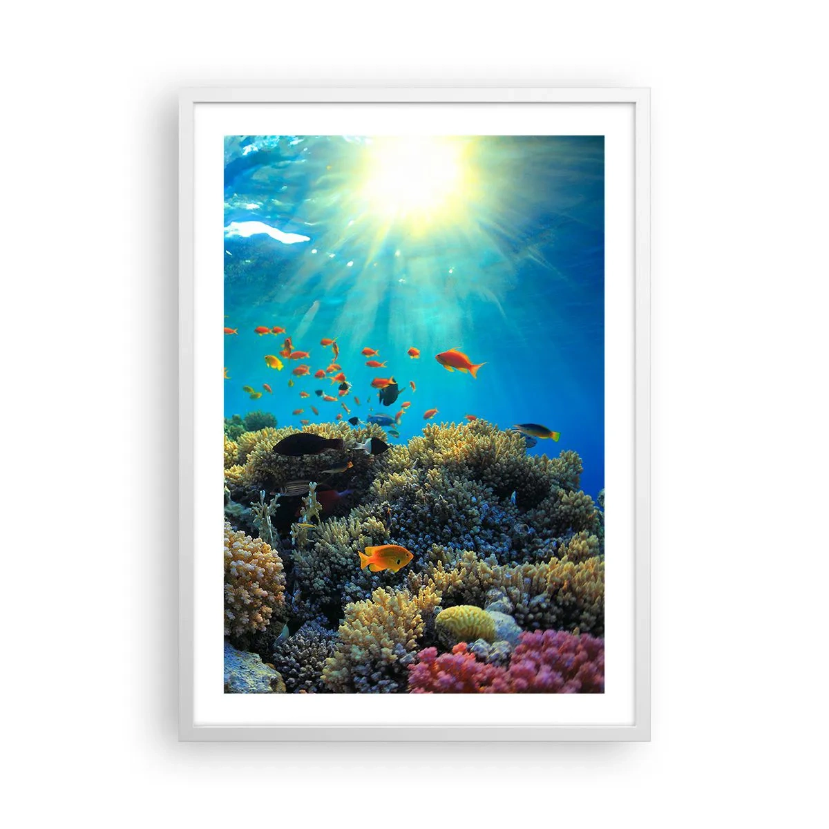 Poster in cornice bianca - Tesori sotto al mare - 50x70 cm