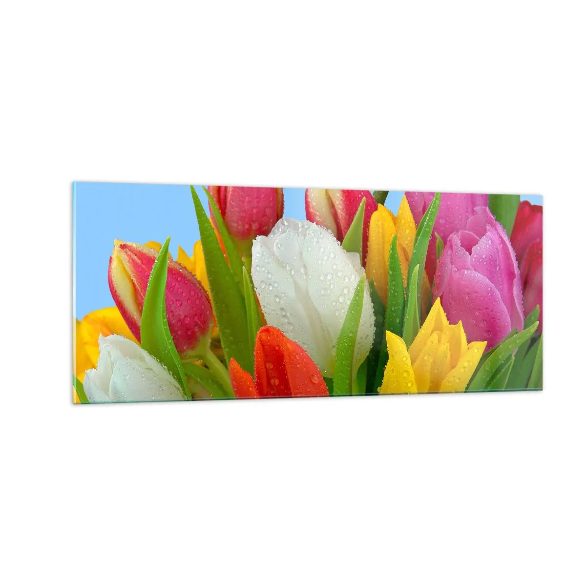Quadro su vetro - Fiori multicolori nella rugiada - 100x40 cm