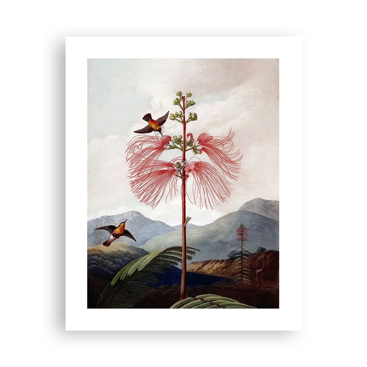 Poster - Nel paradiso tropicale - 40x50 cm