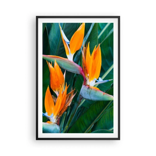 Poster in cornice nera - È un fiore o un uccello? - 61x91 cm
