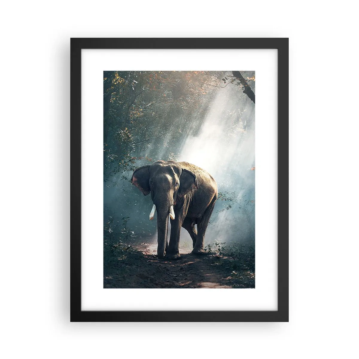 Poster in cornice nera - Tranquilla passeggiata - 30x40 cm