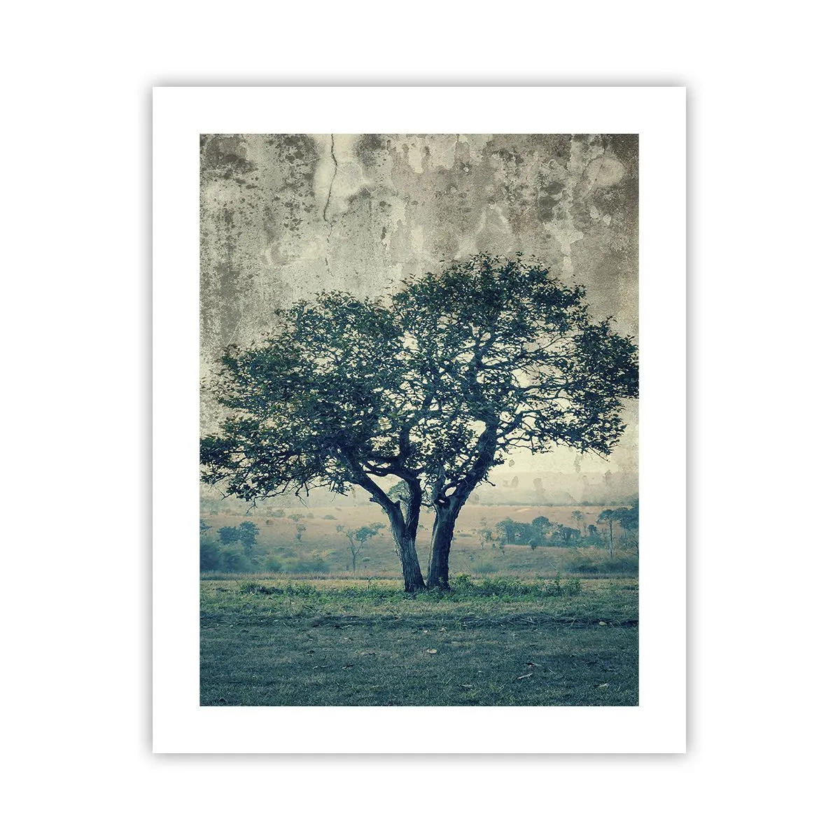 Poster - Un melo su un prato blu? - 40x50 cm