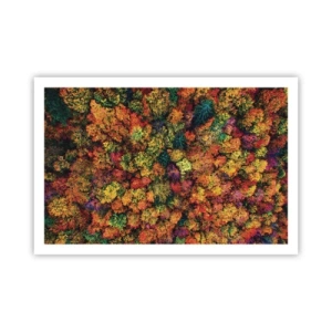 Poster - Il bouquet degli alberi d'autunno - 91x61 cm