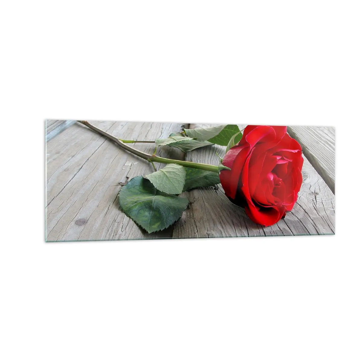 Quadro su vetro - Rosa rossa su uno sfondo di legno - 140x50cm - Studio in scarlatto - Decorazione murale moderna per soggiorno e camera da letto ARTTOR