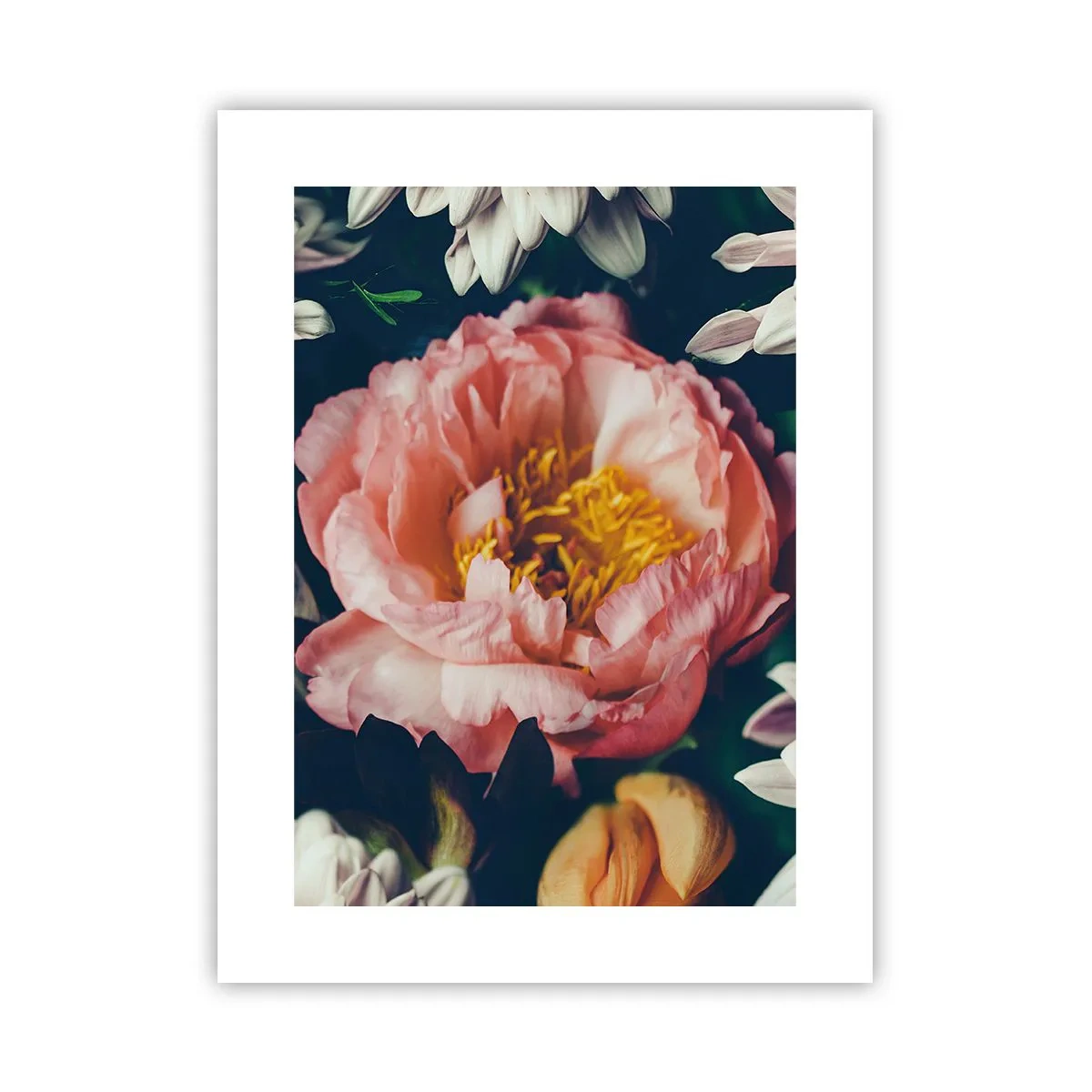 Poster - Con fasto barocco - 30x40 cm